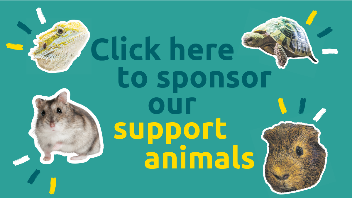 Text that reads "Click here to sponsor our support animals" framed by coutouts of each animal: a green bearded dragon lizard, a tortoise, a brown guinea pig and a small hamster. 