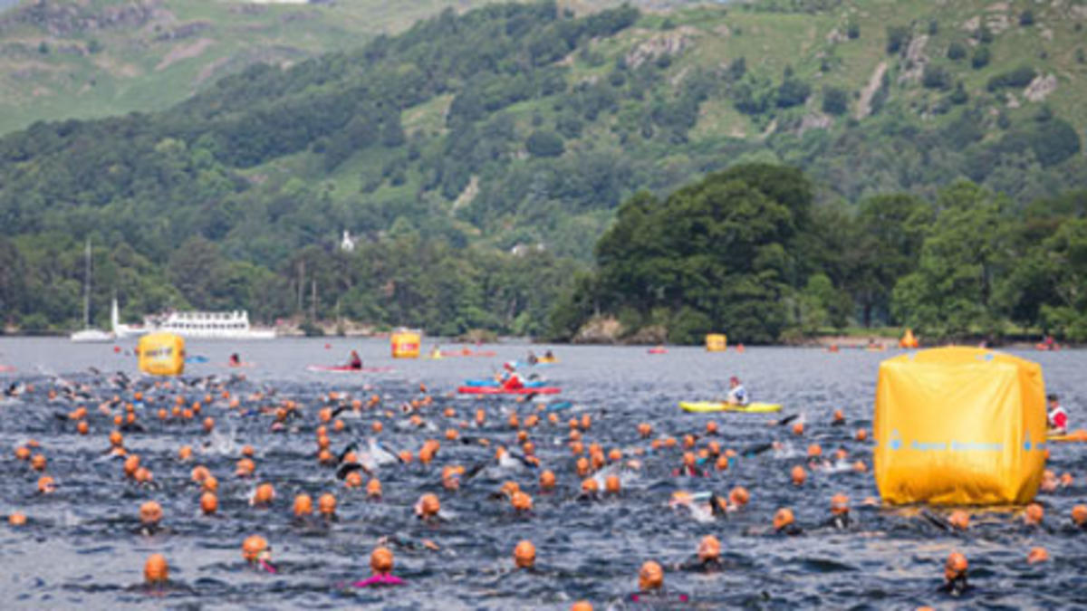 A group of swimmers in open water with a background of hillside trees