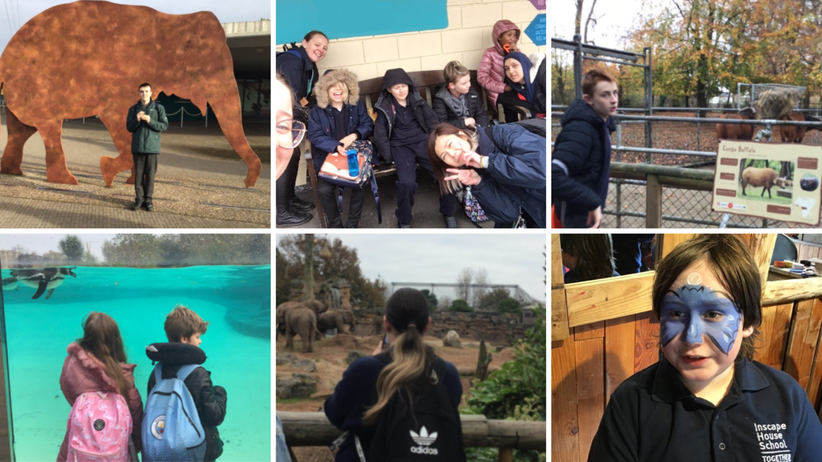 A collage of 6 images: first is of a teen boy standing in front of a big metal sculpture of an elephant, second is of a group of students and staff sitting down smiling; third is of a boy standing in front of a buffalo enclosure, fourth is two children watching a penguin swim, fifth is of someone taking a photo of elephants and sixth is of a student with facepaint on.  